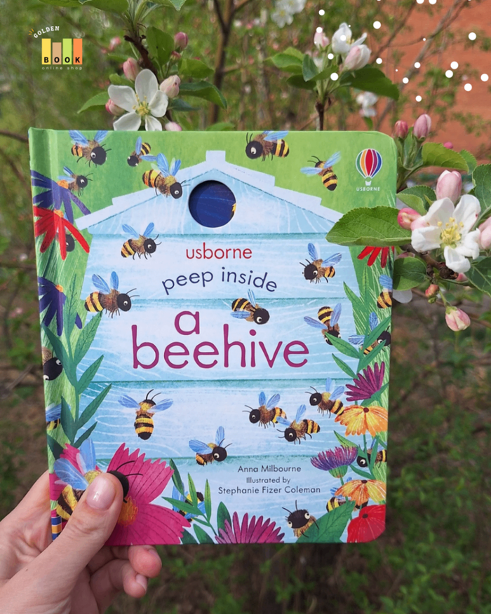 Peep inside a beehive