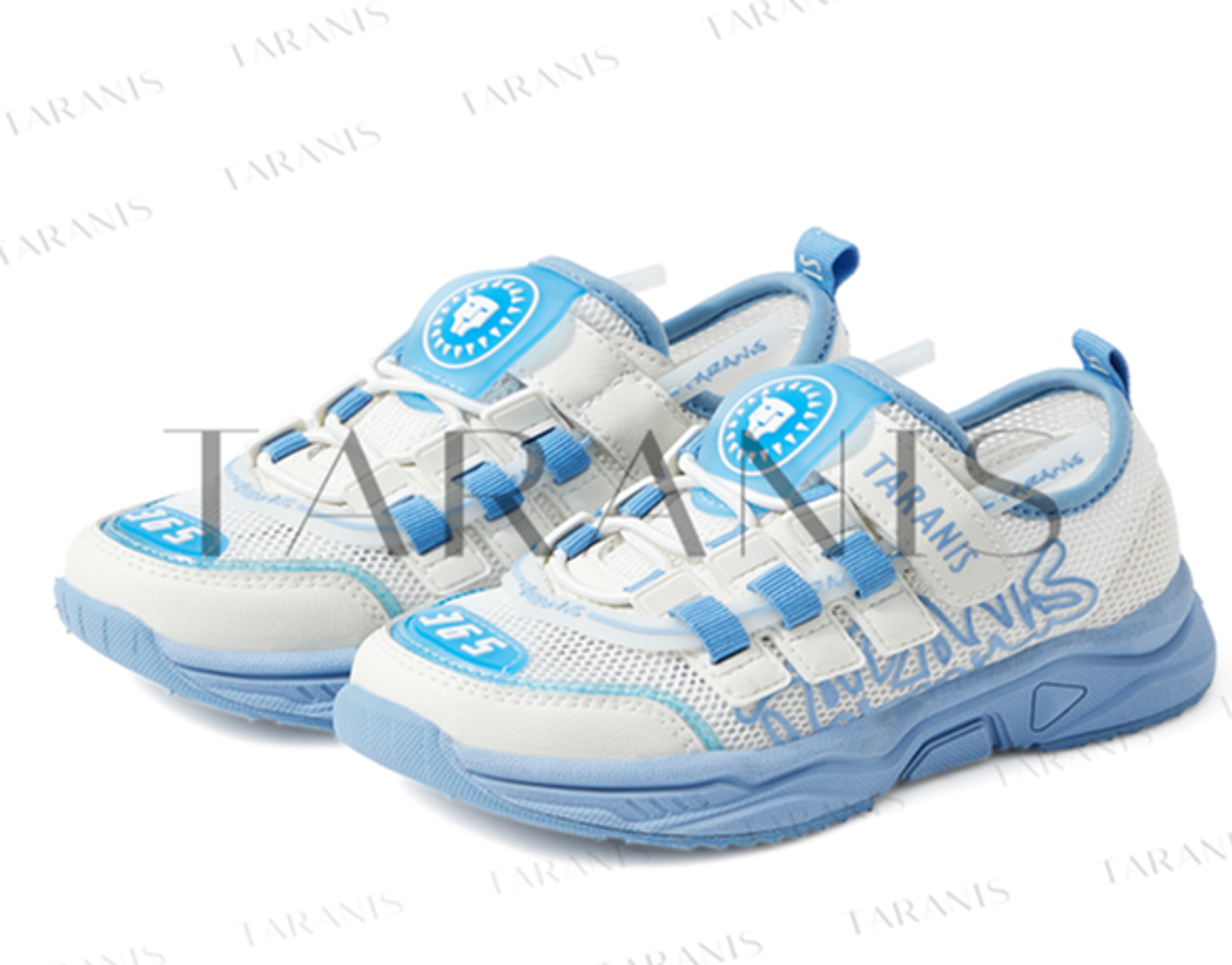 Сеткэн пүүз