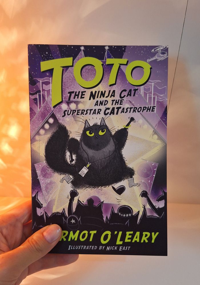 Toto the Ninja Cat 