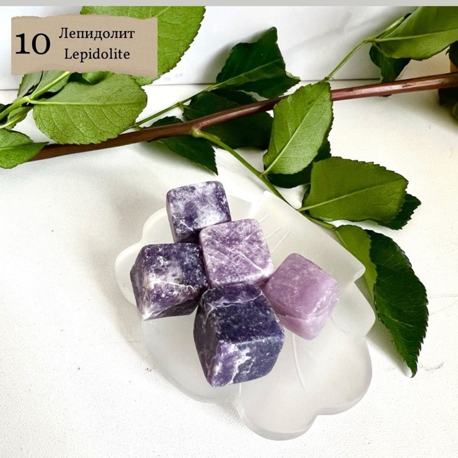 "Лепидолит" шоолсон чулуу