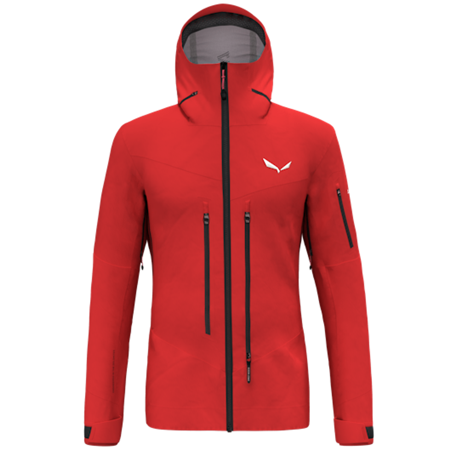 Salewa | Ortles Pro GTX | Hardshell | Men 