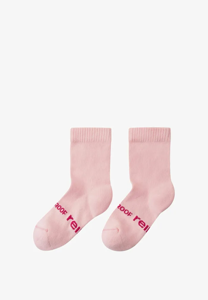 Socks, Insect, Rose