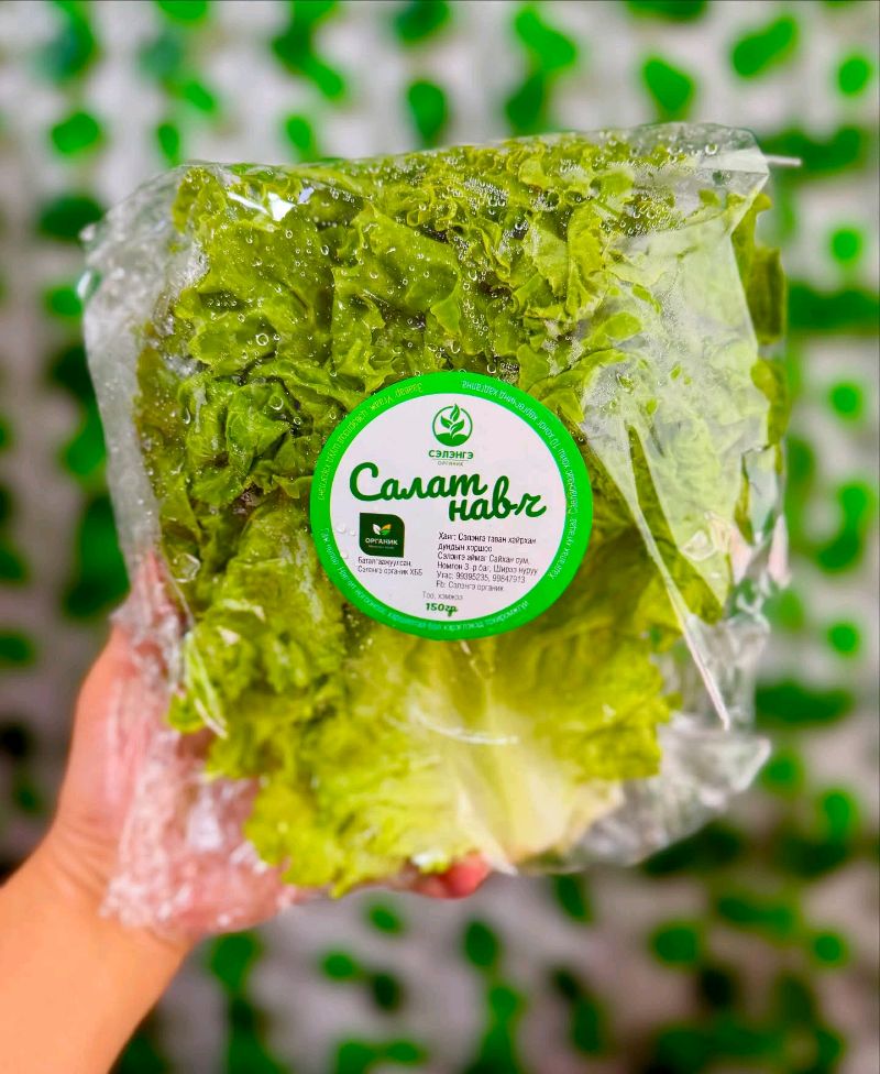 Хүнсээрээ Эрүүлжье” дэлгүүр нь баталгаажсан органик нарийн ногоо борлуулж эхэллээ 🎉🎉🎉