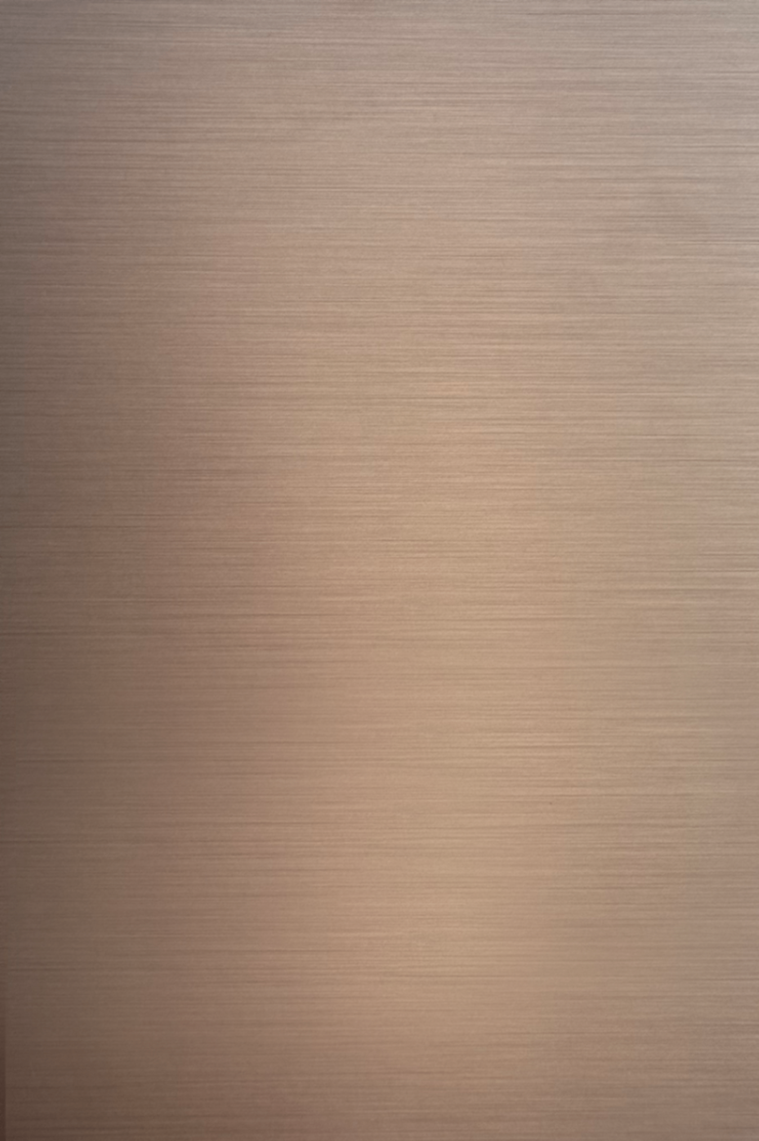 STAINLESS BRONZE 