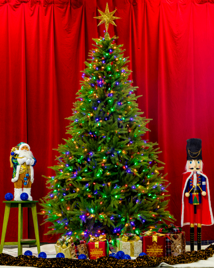 Байгалийн үзэмжит