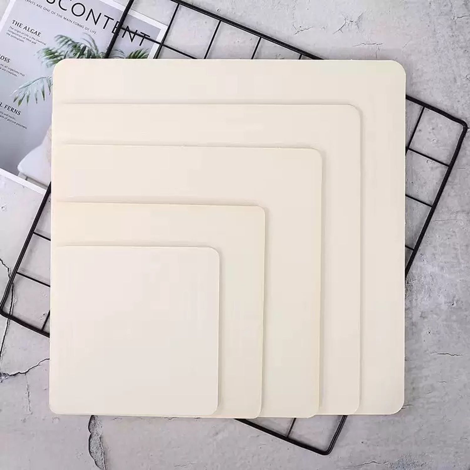 Дан цаасан суурь 30см