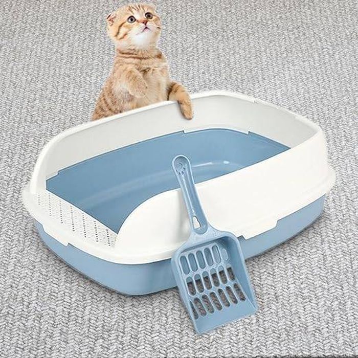 Муурын жорлон