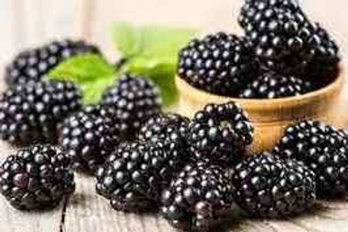 Бөөрөлзгөнө хар 2,5кг