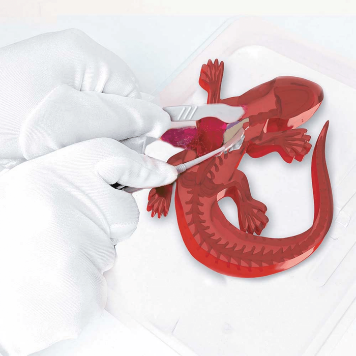 Slimy Lab dissect it 