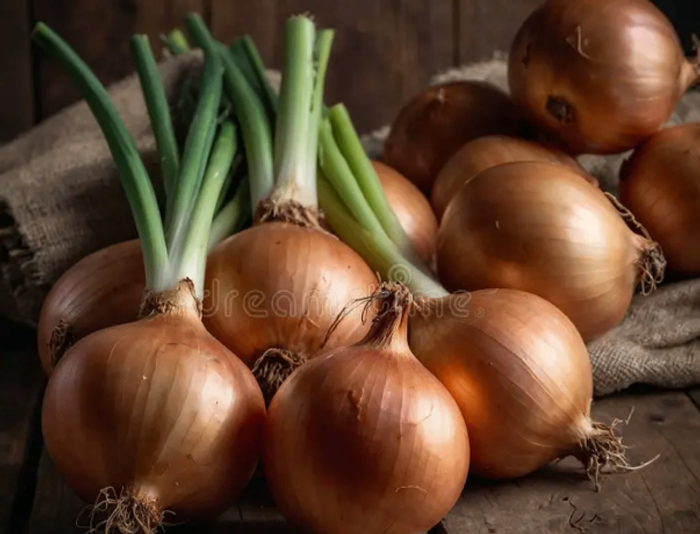 Сонгино