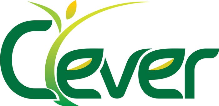 Элсэн чихэр Clever 