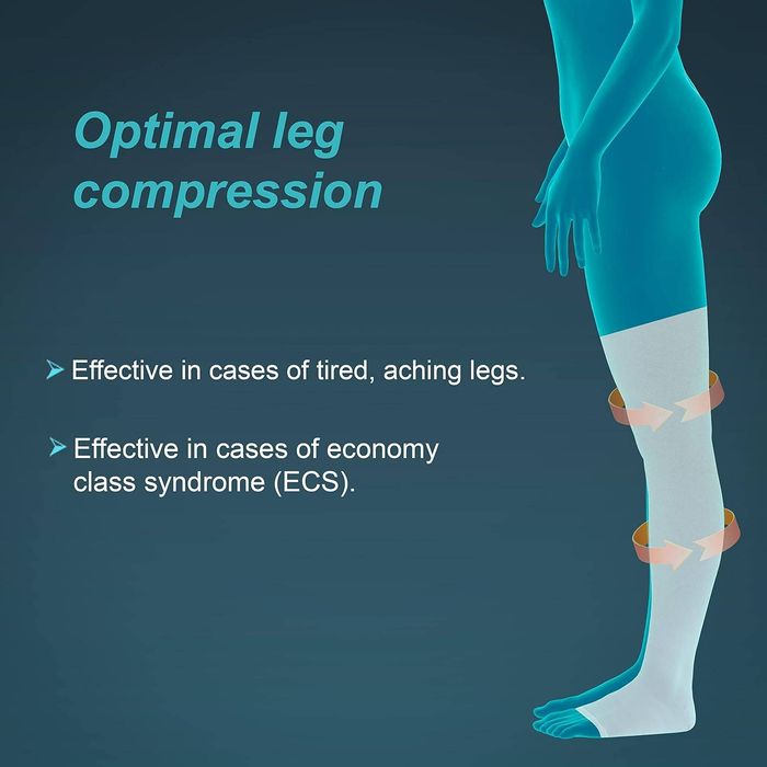 Нимгэн урт судасны оймс