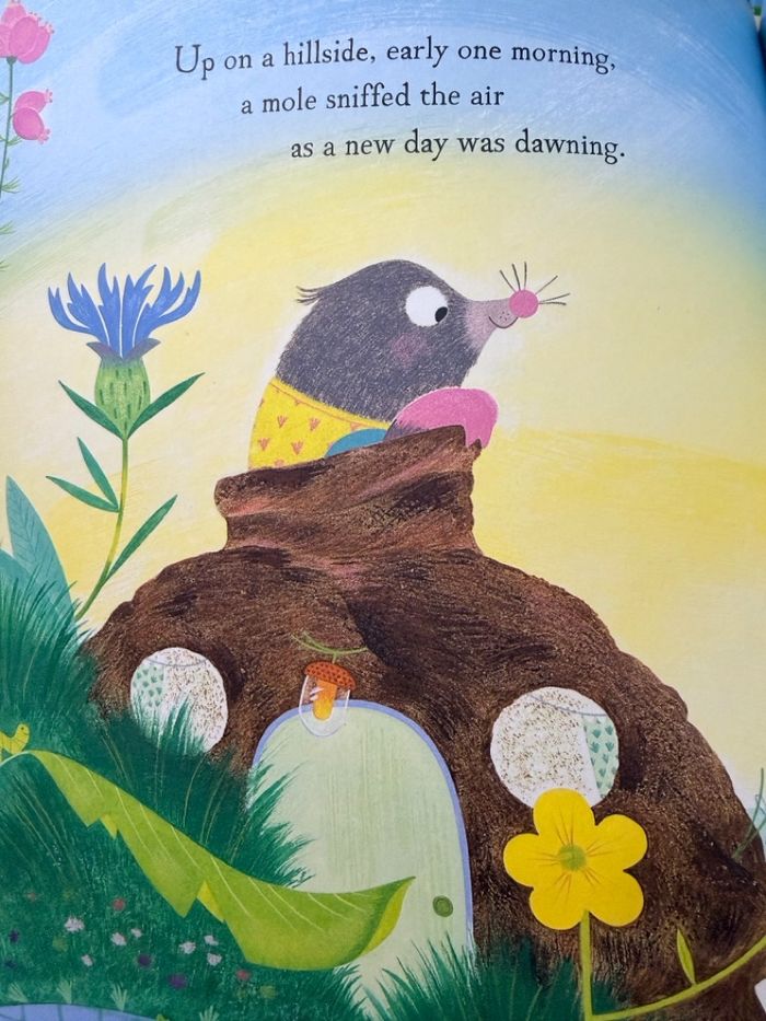 Dream big, Little mole