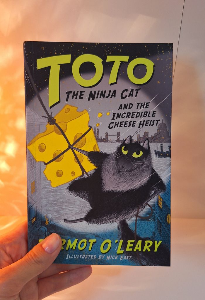 Toto the Ninja Cat 