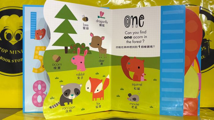 My awesome counting book (хятад-англи)