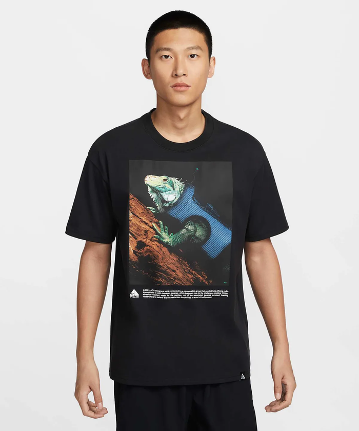 Nike tee ACG