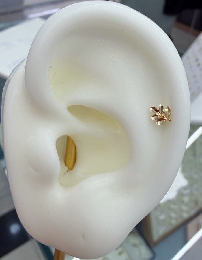 Навч 14k монет piercing