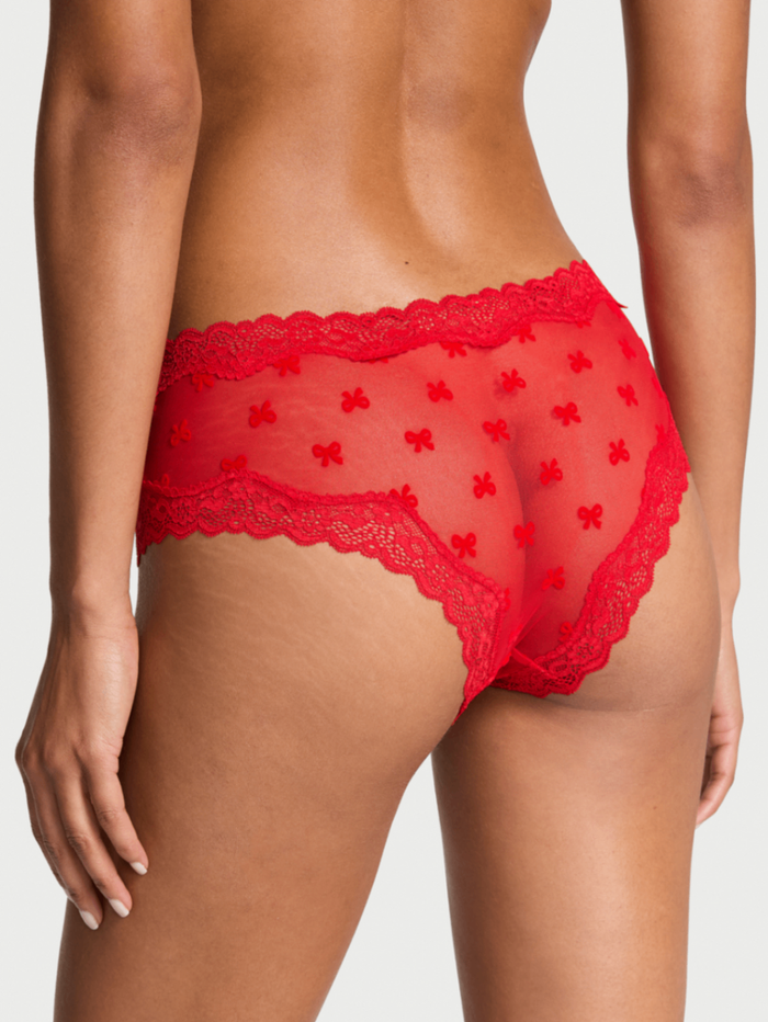 Tease Mesh Lace-Trim Cheeky Panty
