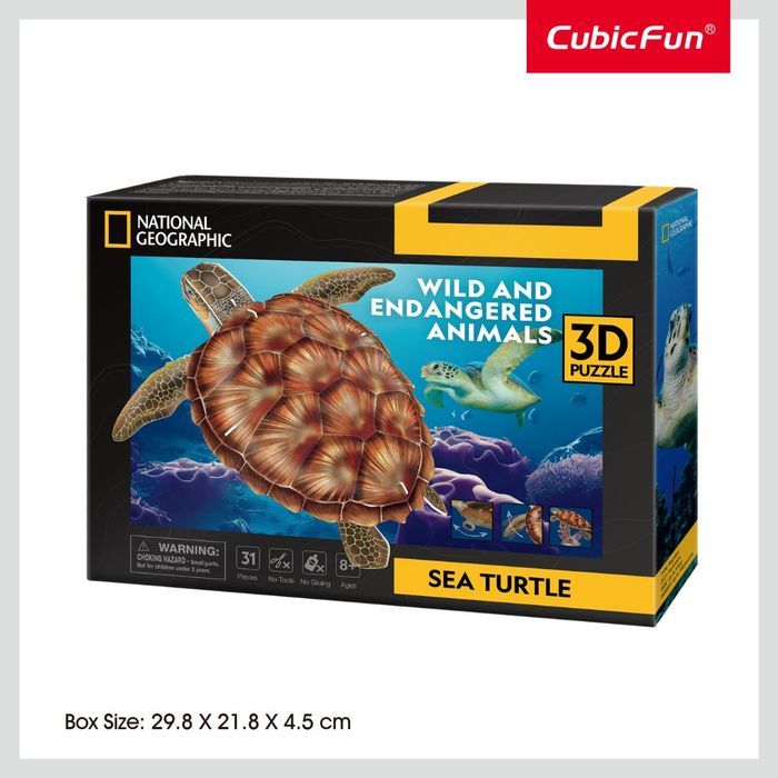 Sea Turtle