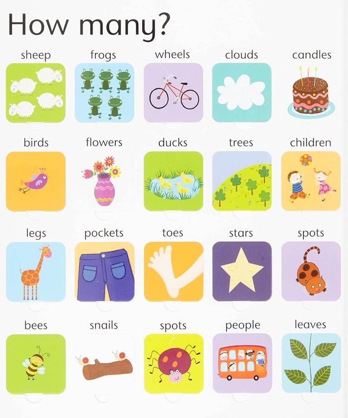 Lift-the-Flap Counting Book