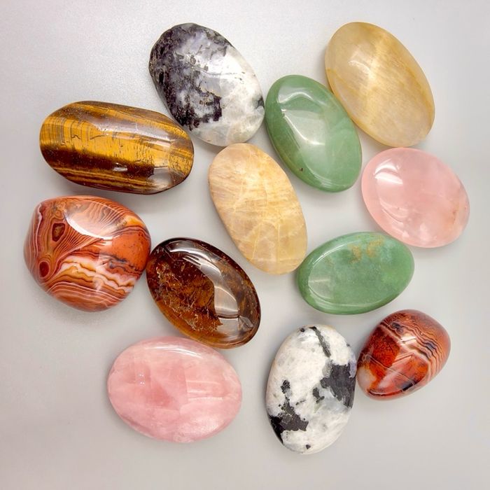 "Судалт мана" алганы чулуу