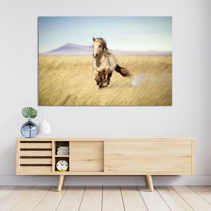 Монгол морь