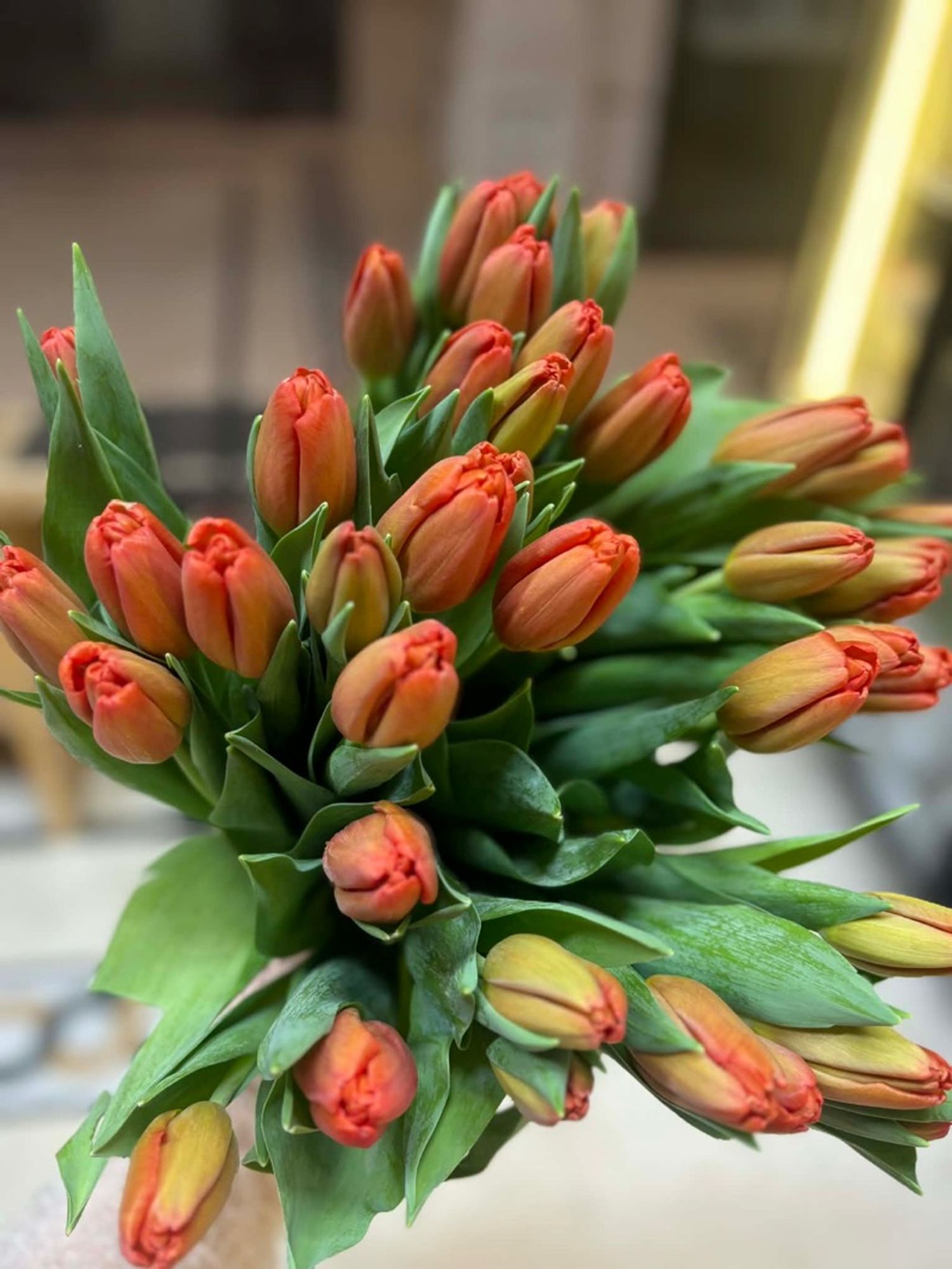 Голланд алтанзул улбар шар