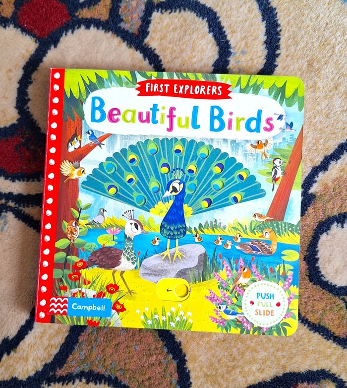 Beautiful Birds