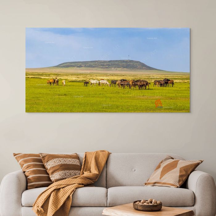 Дарханхаан уул  