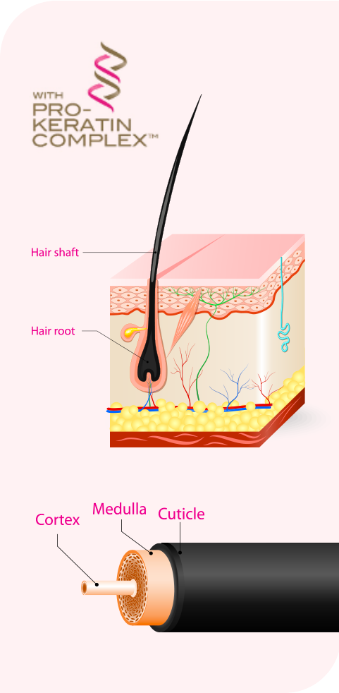 PRO KERATIN COMPLEX ТУХАЙ?