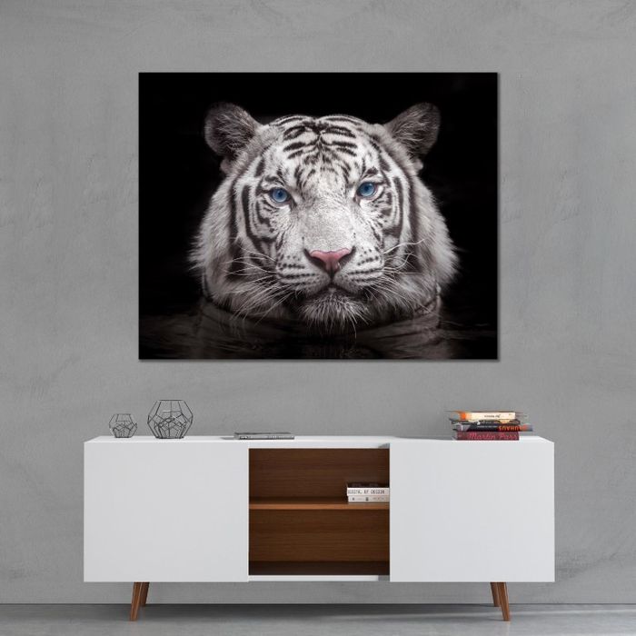 Сибирийн цагаан бар