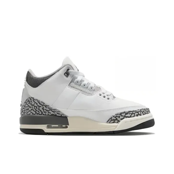 Jordan 3 Retro Hide N' Sneak 