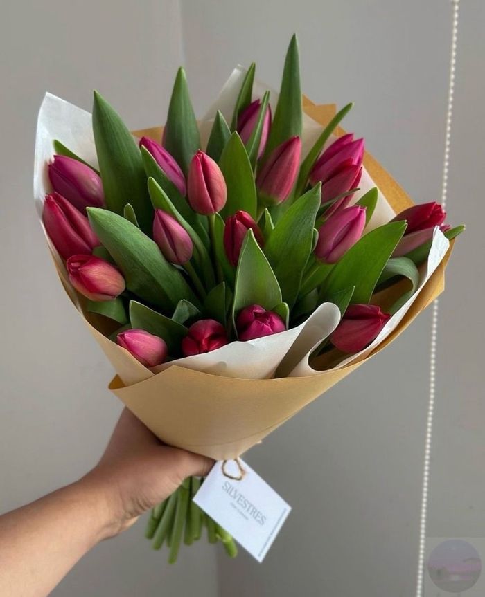 Голланд алтанзул улаан