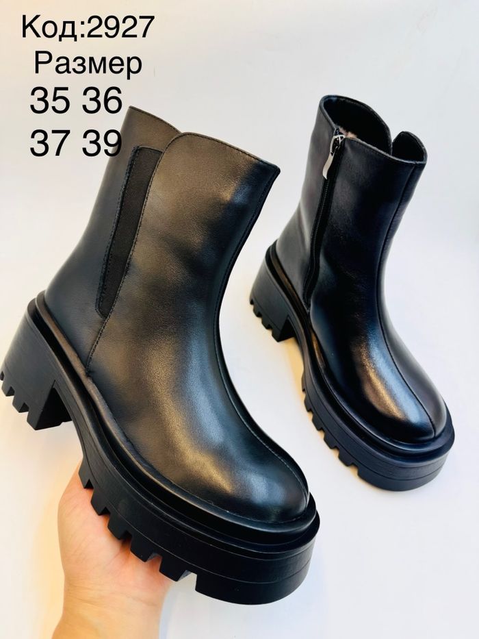 Арьсан богино түрийтэй өвөл