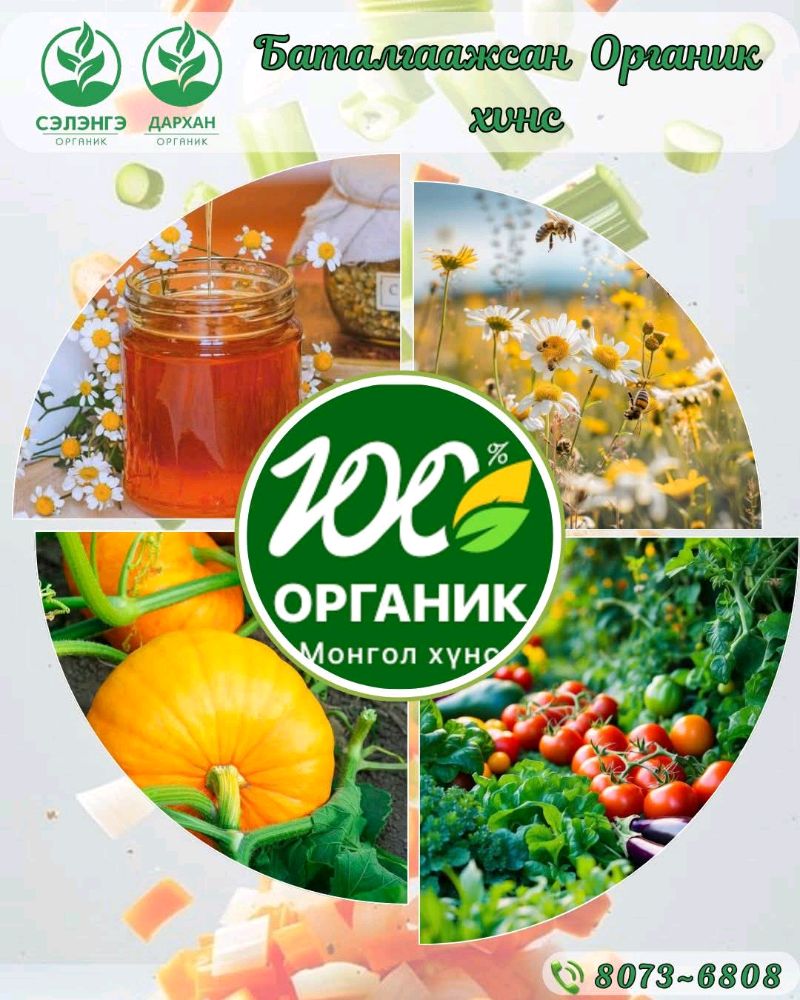 Сэлэнгэ органик, Дархан органик гэж ХЭН бэ
