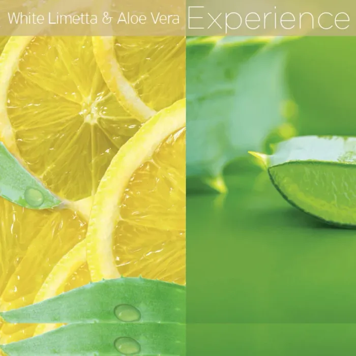 White Limetta & Aloe Vera Cuticle Oil 75ml