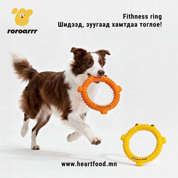Fithness ring - Цагираган тоглоом
