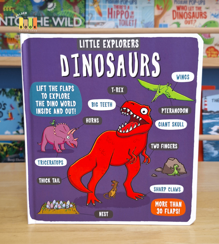 Little Explorers Dinosaurs 