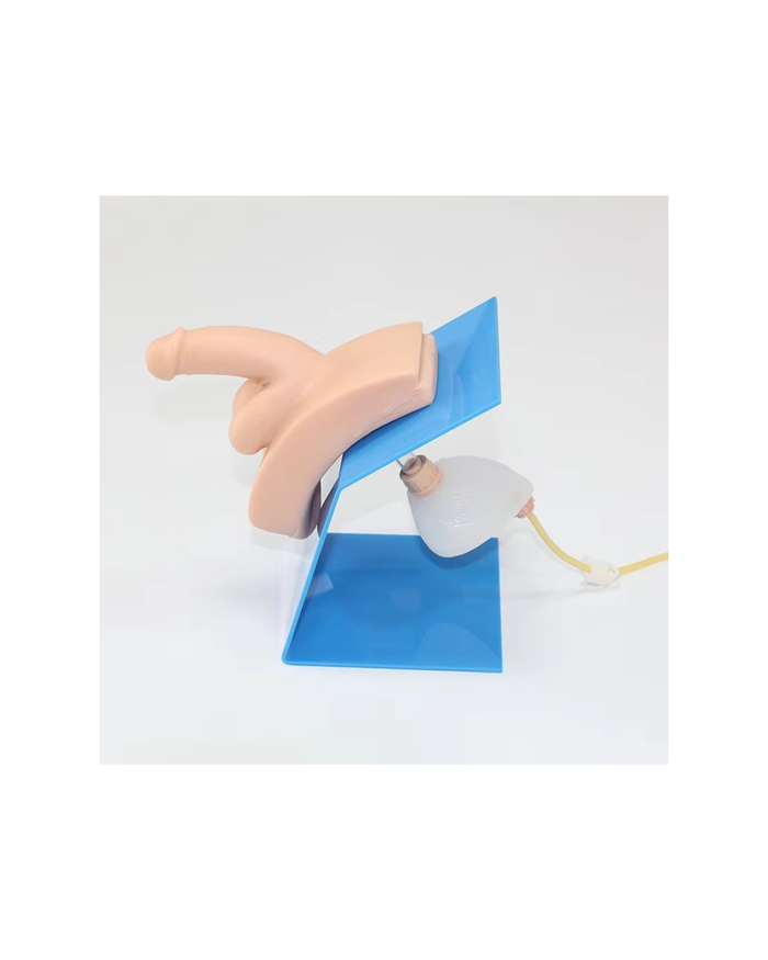 Эрэгтэй катетерын загвар (Өмсдөг)