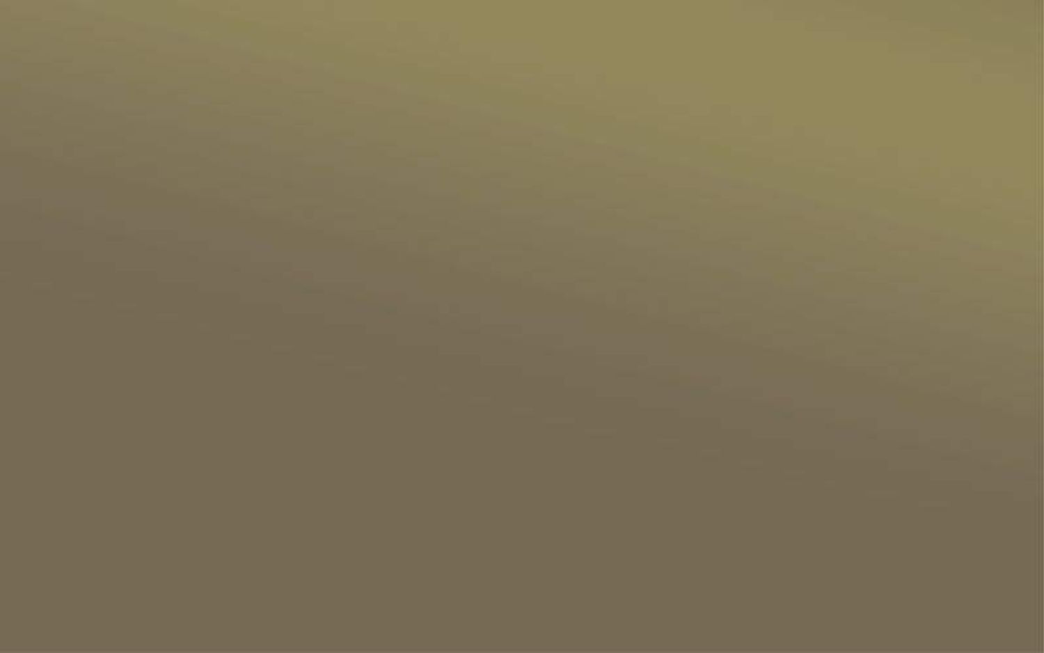 SHINY GOLD BROWN 