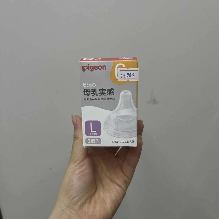 Pigeon Угжны хөхлүүр L