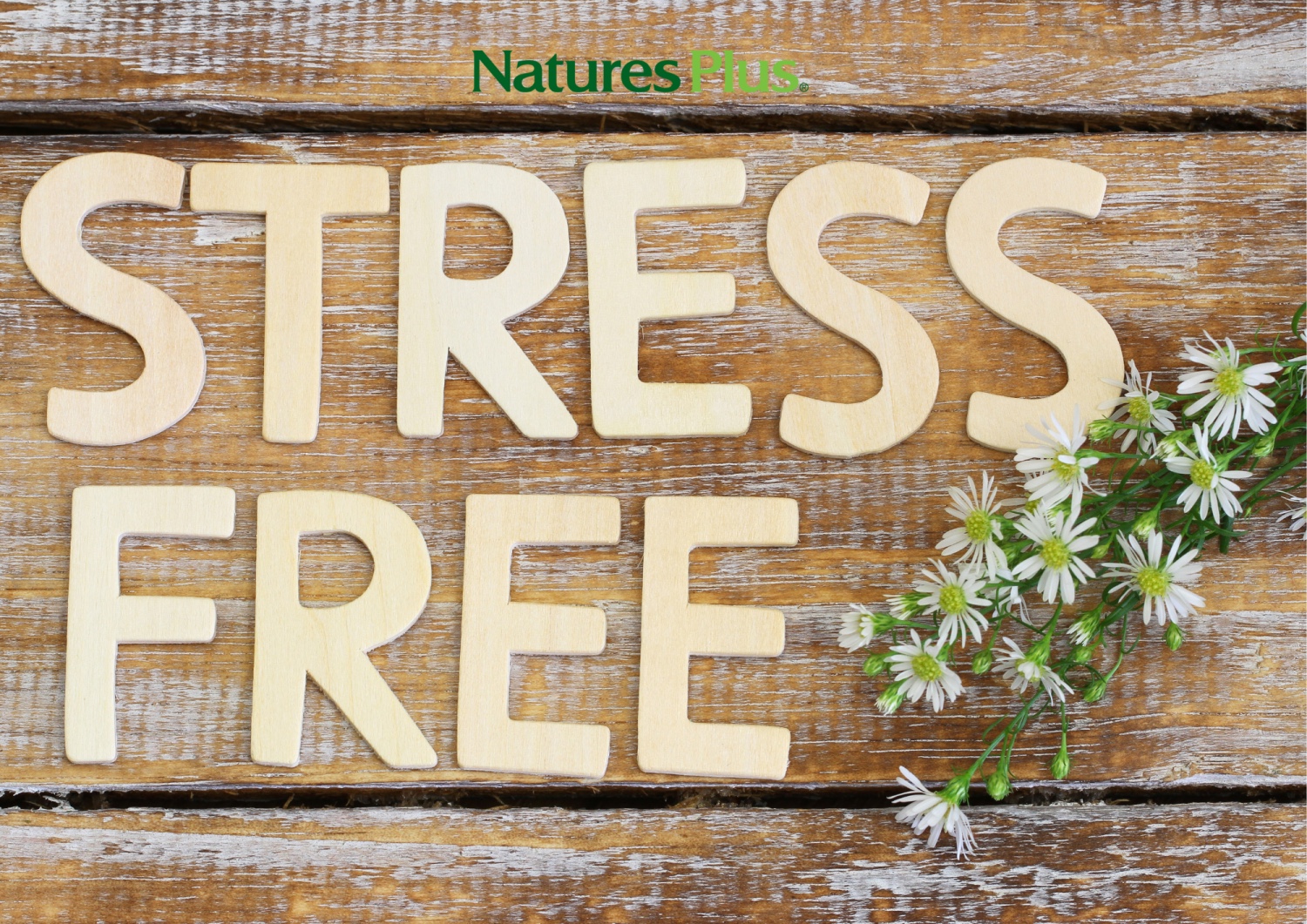 Стресс болон сэтгэл түгшилтийг бууруулахад туслах амин дэм, эрдэс бодисууд 