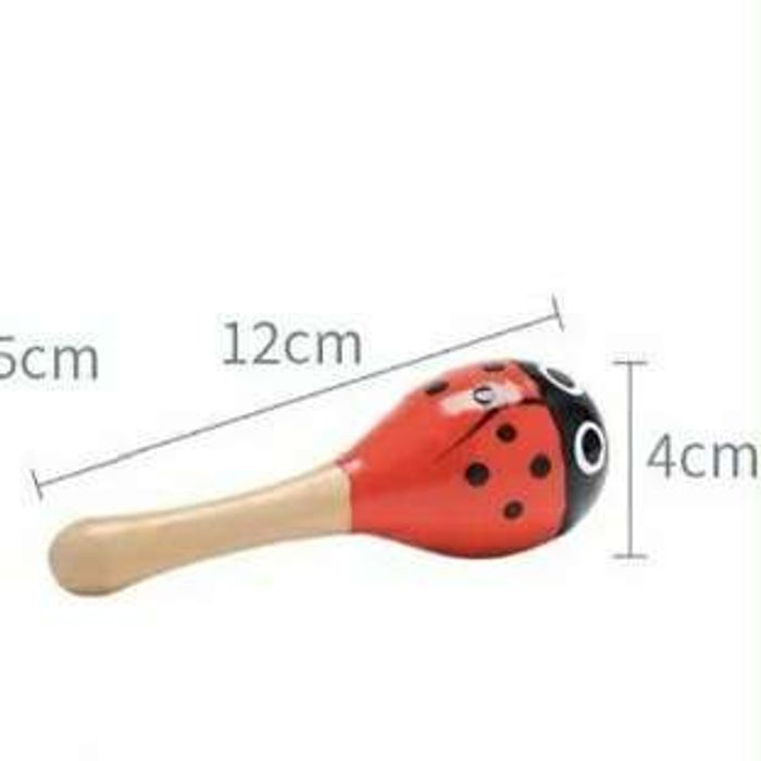 Жижиг модон маракос