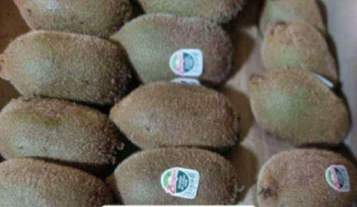 Киви 9кг