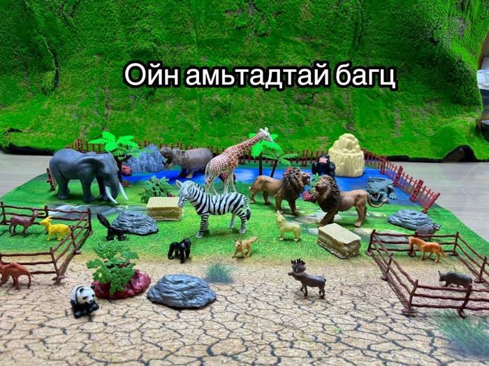 Ойн амьтад багц