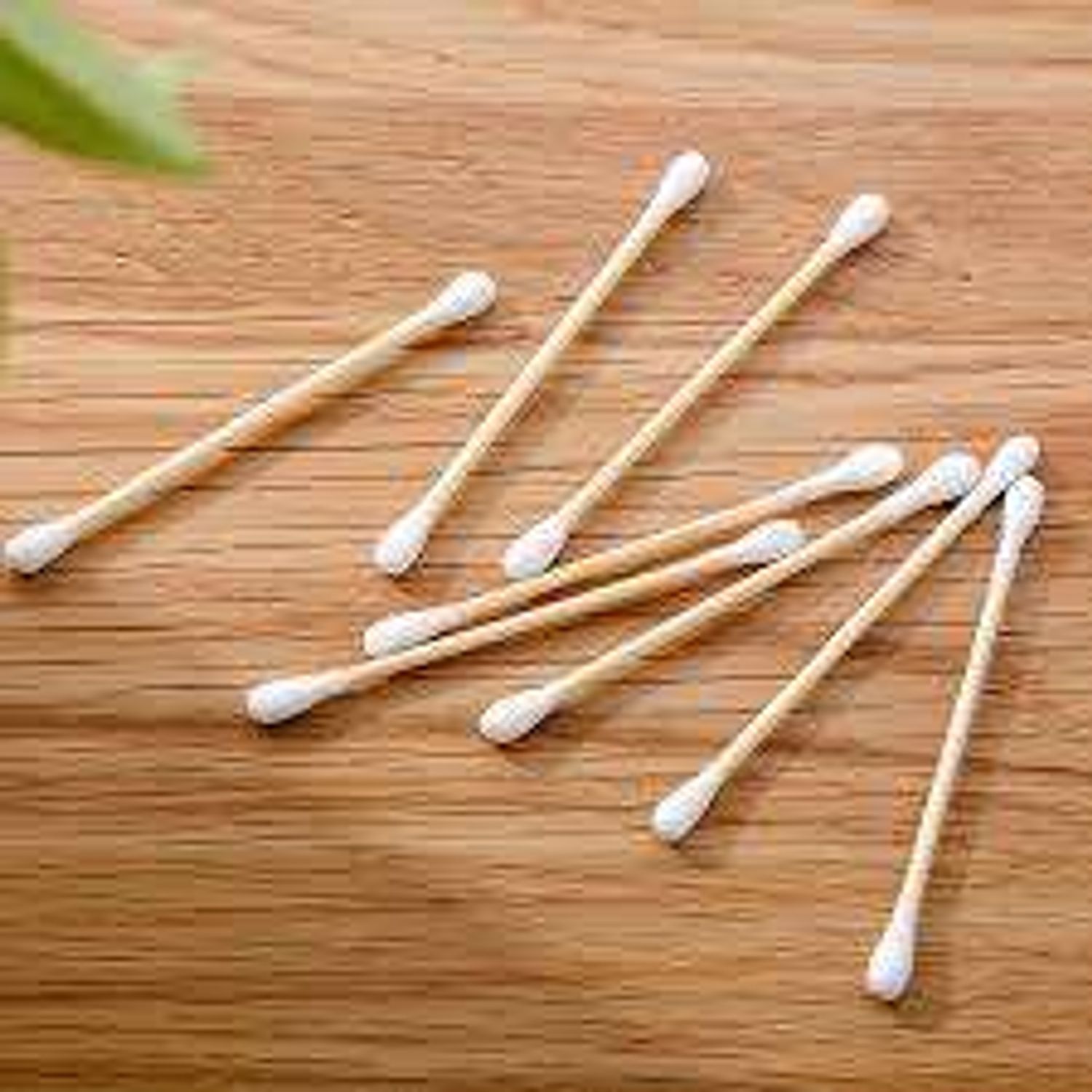 Чихний хөвөн мод - Дунд