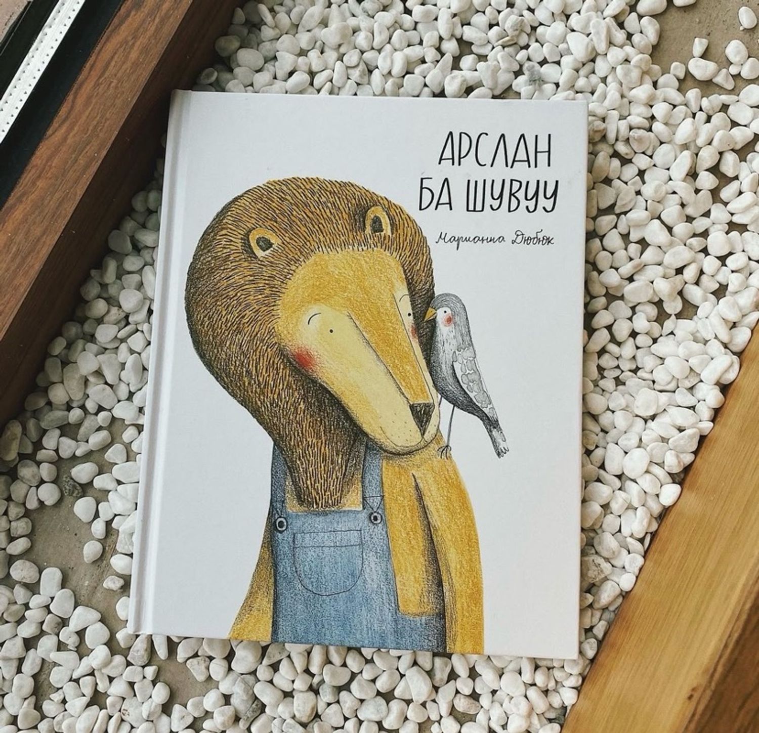 Арслан ба шувуу 