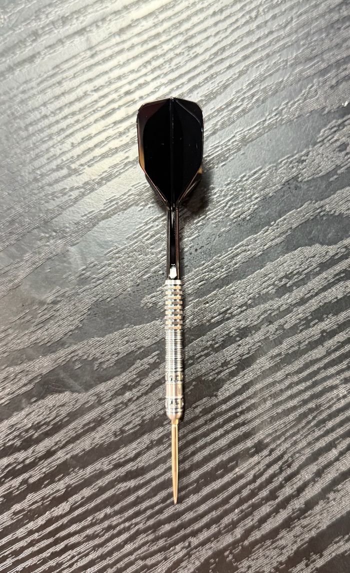 TARGET DISCOVERY WILL G1 21G STEEL TIP 2026