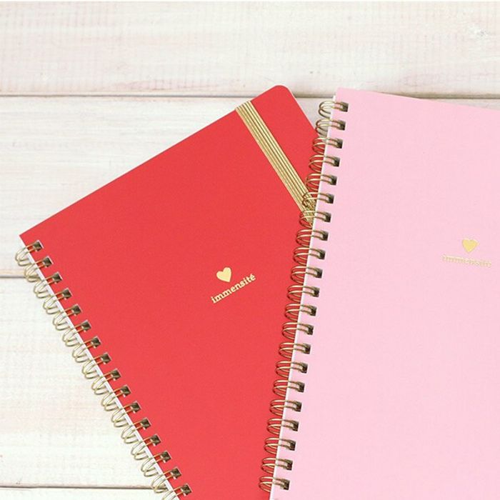 LABCLIP тэмдэглэлийн дэвтэр 