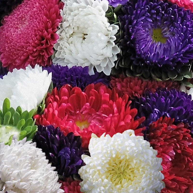 Удвал цэцгийн бэлгэдэл 